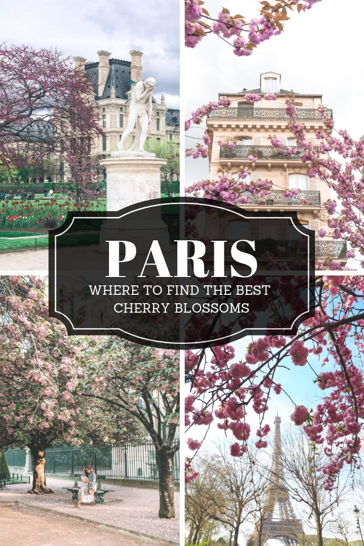 The best cherry blossoms in Paris | WORLD OF WANDERLUST