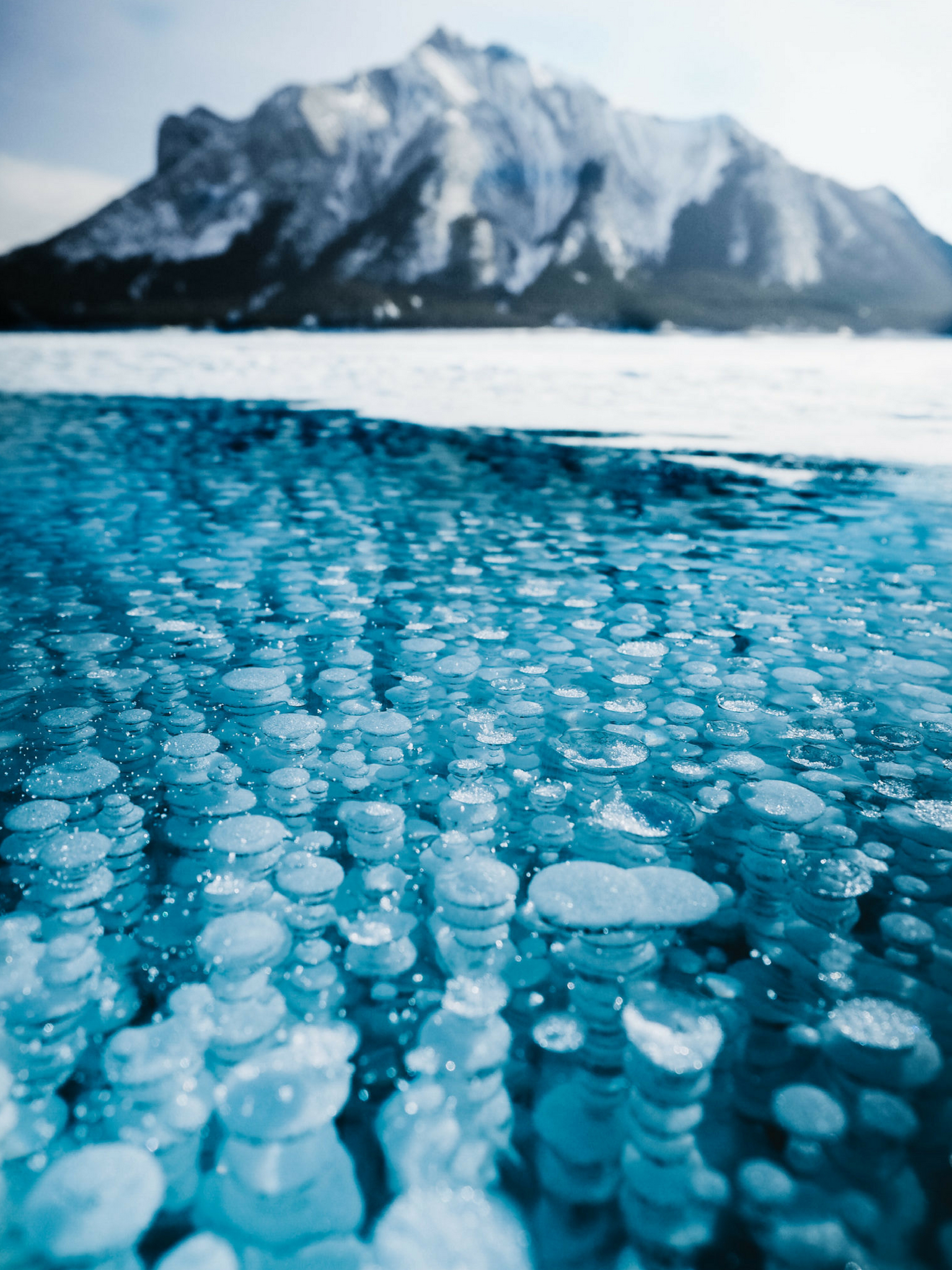 How to Visit the Frozen Bubbles at Abraham Lake - World of Wanderlust