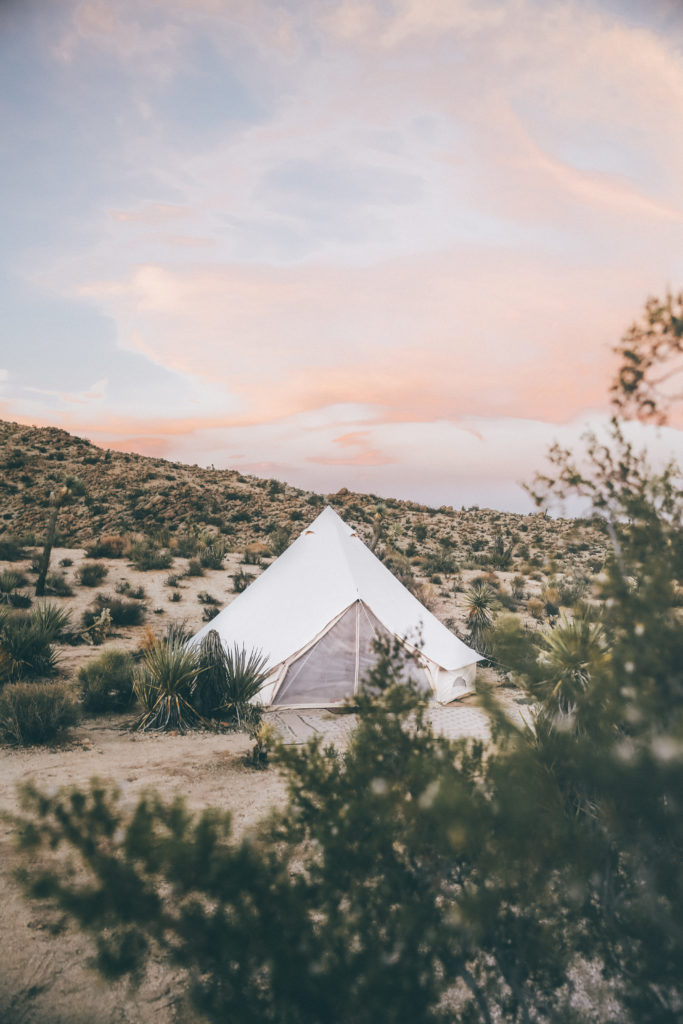 Guide to Joshua Tree WORLD OF WANDERLUST World of Wanderlust