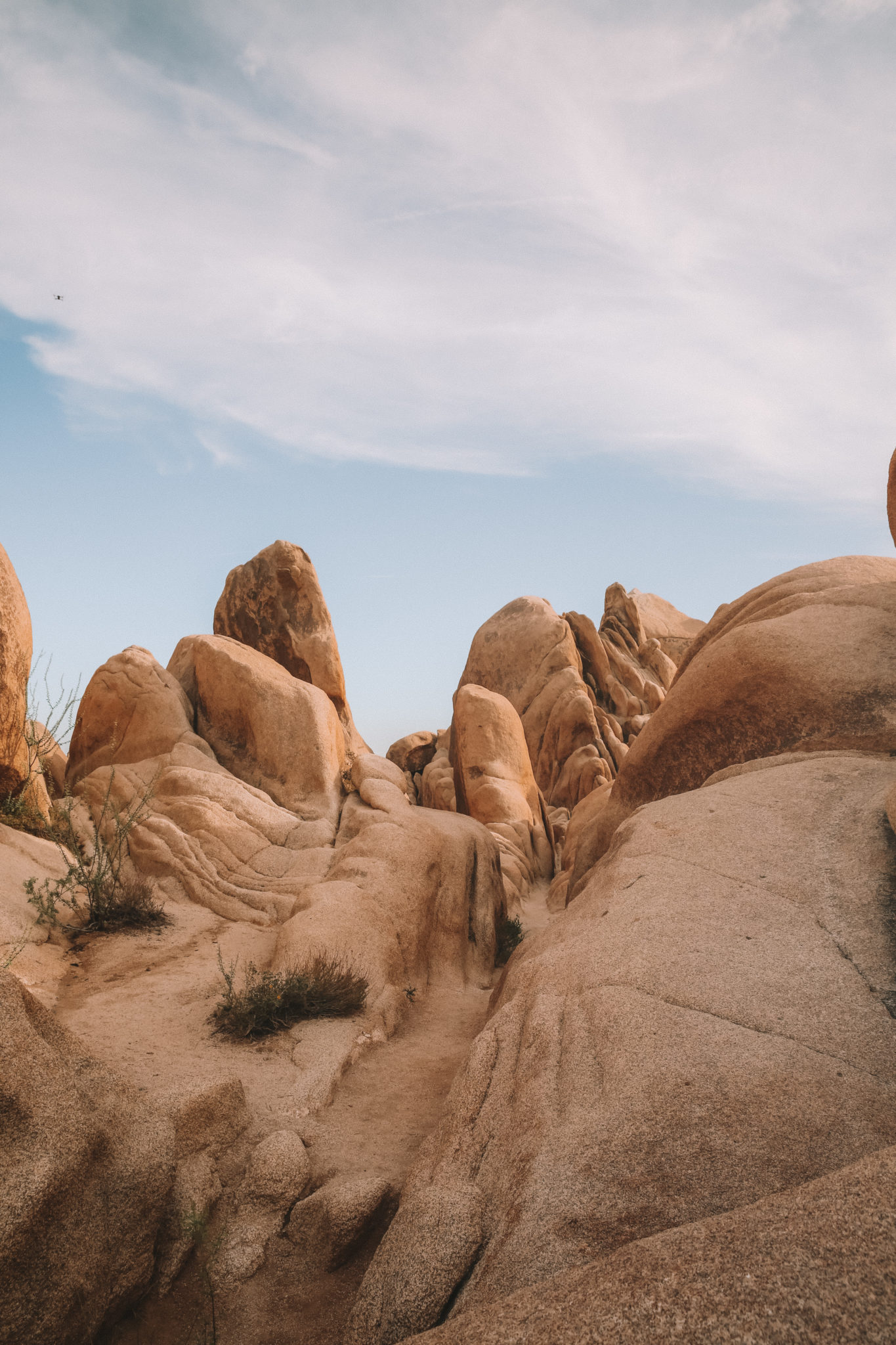 7 Places you can not miss around Joshua Tree National Park