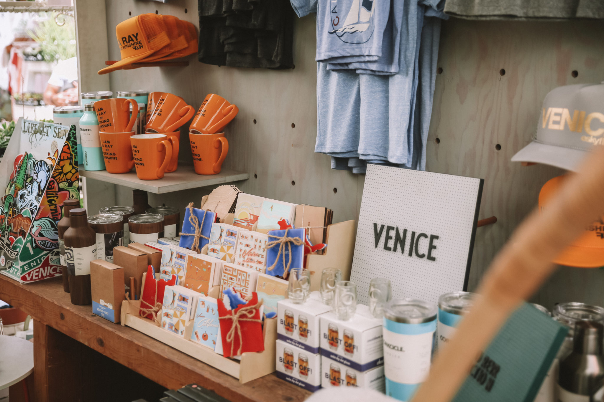 Guide to Venice California | WORLD OF WANDERLUST