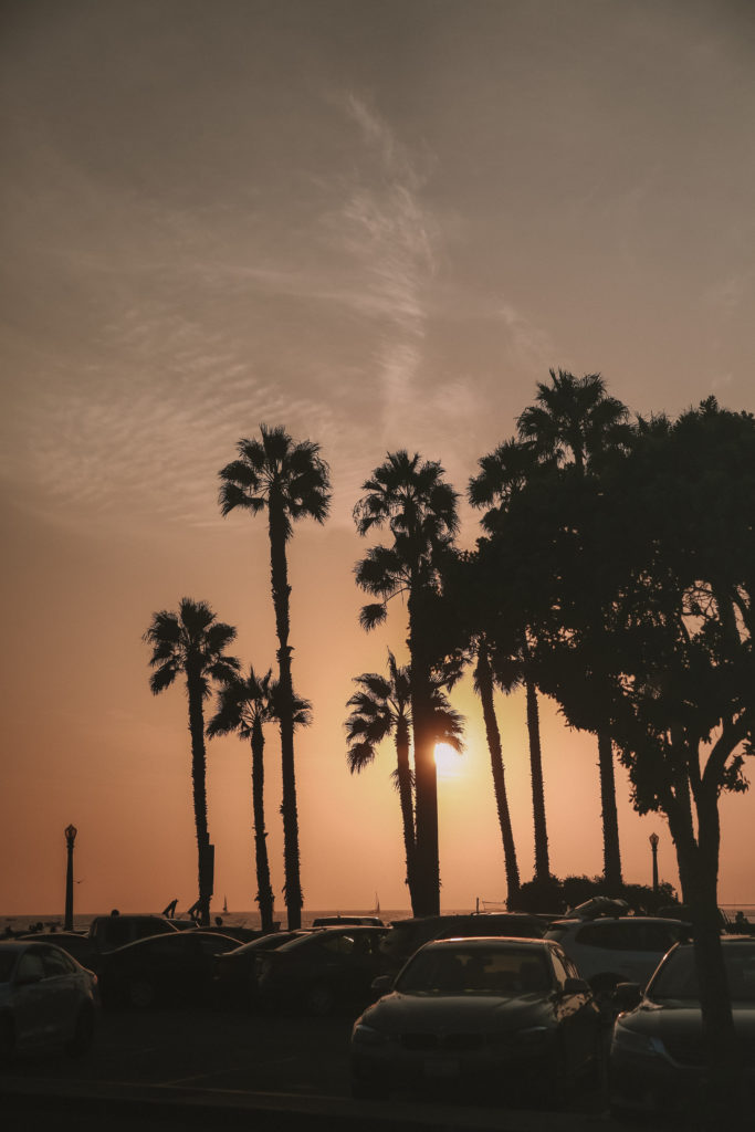 Guide to Venice California | WORLD OF WANDERLUST