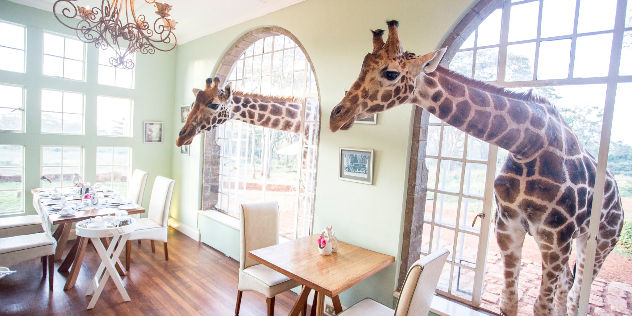 Giraffe Manor Kenia |  MUNDO DE WANDERLUST