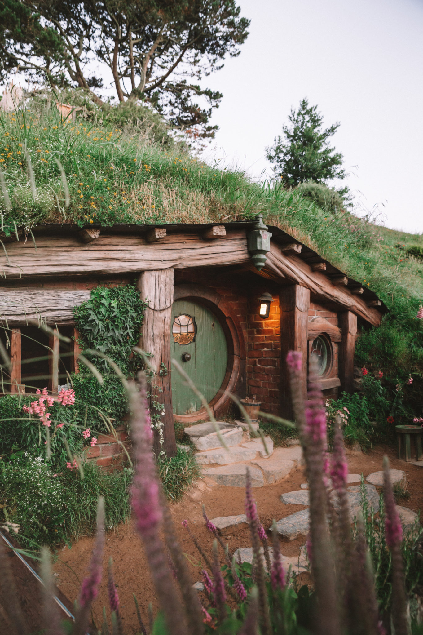 Visiting Hobbiton in New Zealand