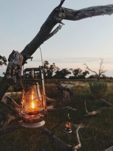 Botswana And Beyond | WORLD OF WANDERLUST