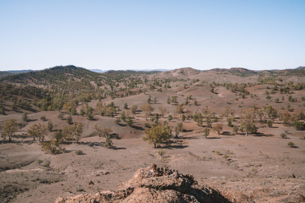 Gamas de Arkaba Flinders | MUNDO DE WANDERLUST