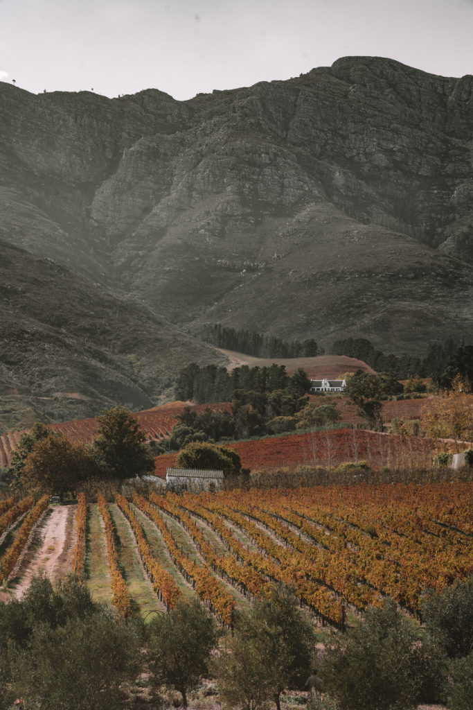 Cape Winelands Sudáfrica | MUNDO DE WANDERLUST