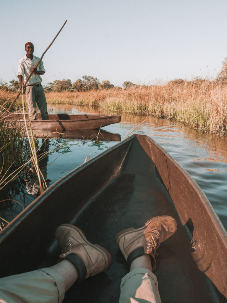 Sable alley Botswana | World of Wanderlust