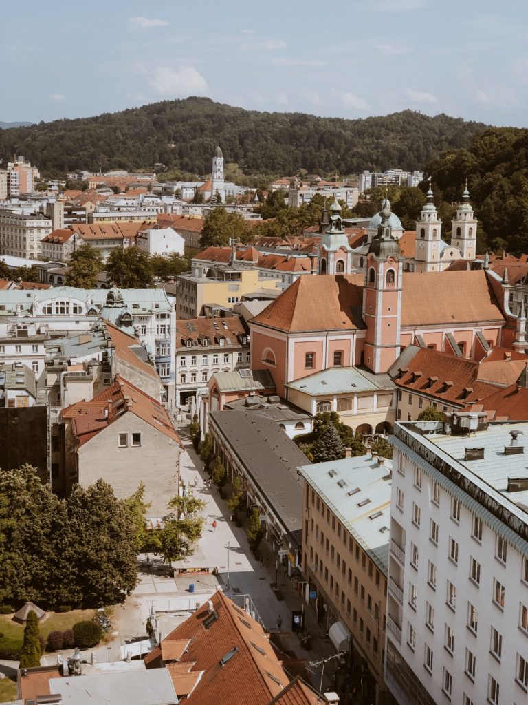 The 8 Cities And Towns You Must Visit In Slovenia World Of Wanderlust   IMG 4929 768x1024 