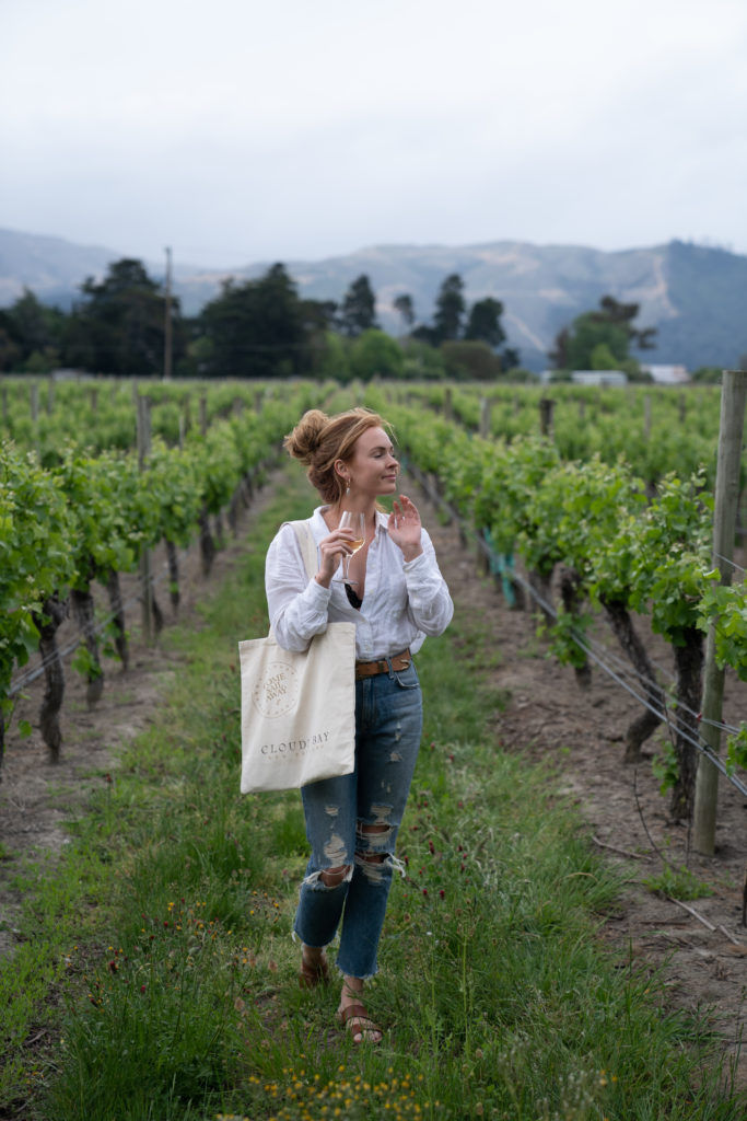 Cloudy Bay Vineyard Tour Marlborough  Activity in Marlborough, New Zealand