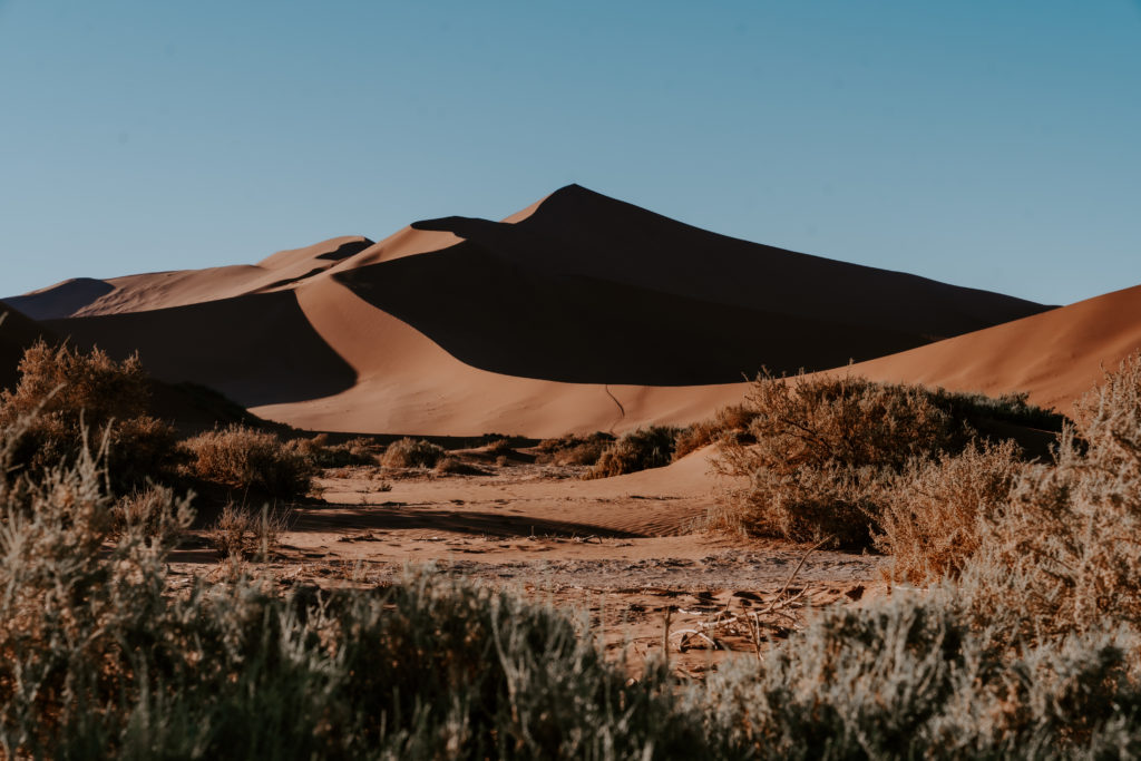 Y más allá de Sossusvlei | MUNDO DE WANDERLUST