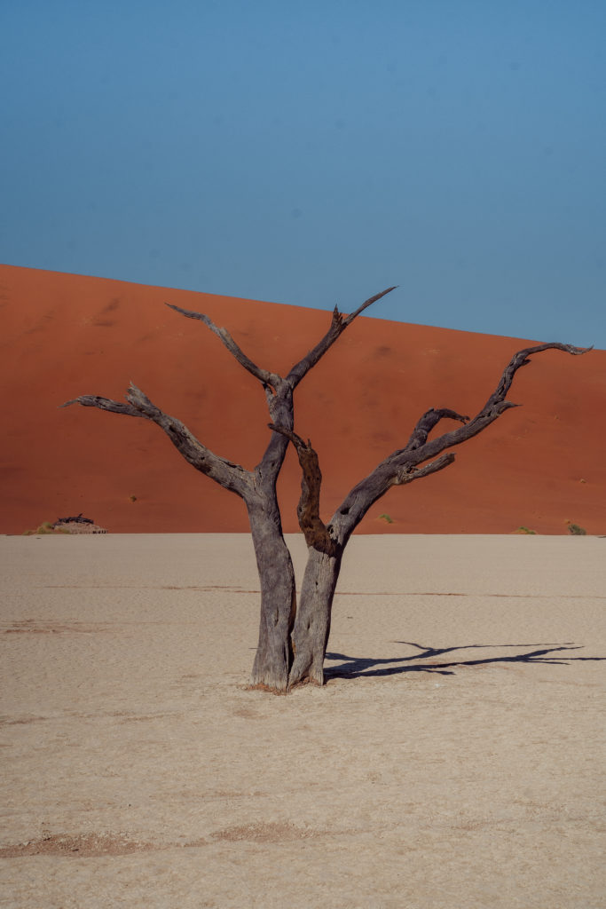 Saker att veta innan du åker till Namibia |  VANDRINGSVÄRLD