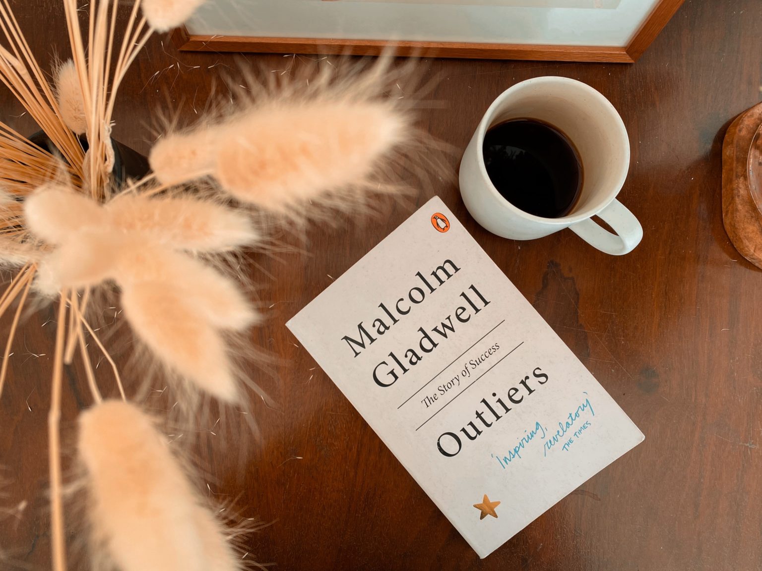 outliers book review reddit