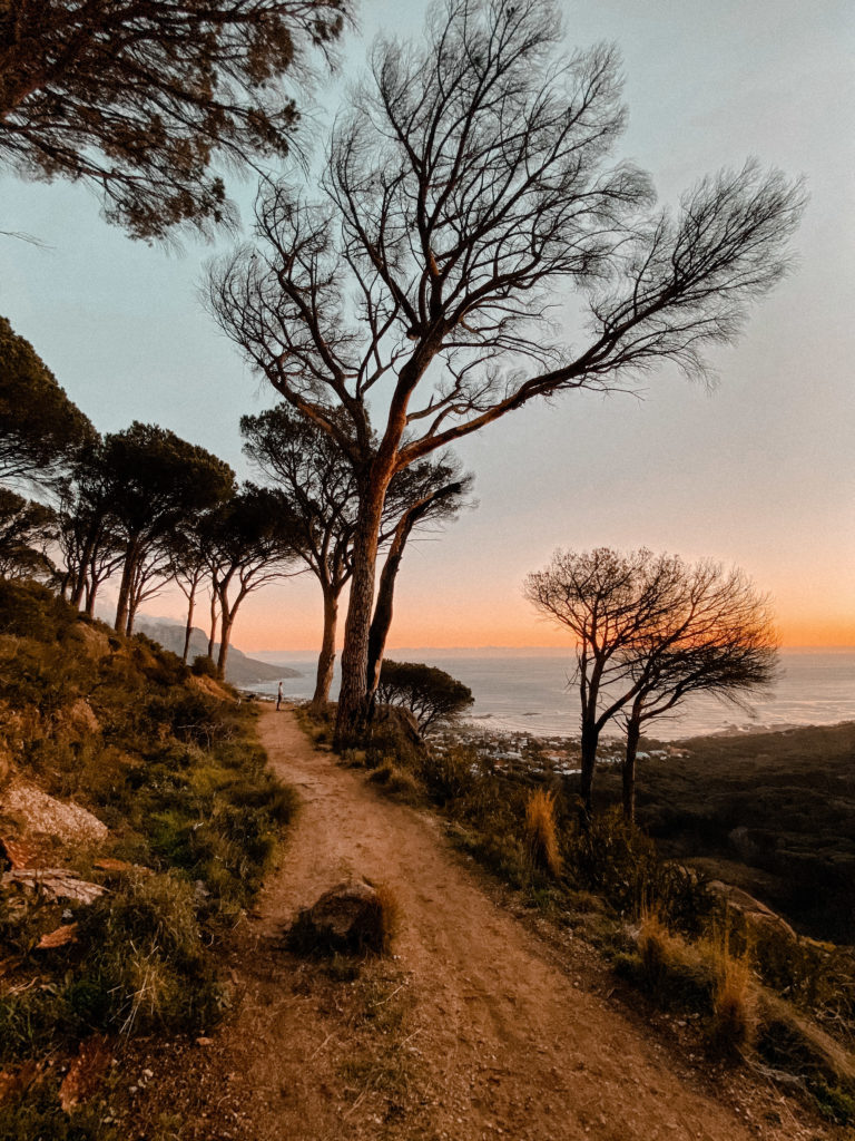 Ciudad del Cabo Las mejores caminatas al atardecer |  Mundo de pasión por los viajes