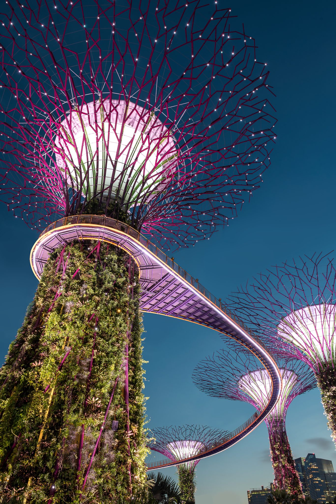 insanely-fun-things-to-do-in-singapore-florida-independent