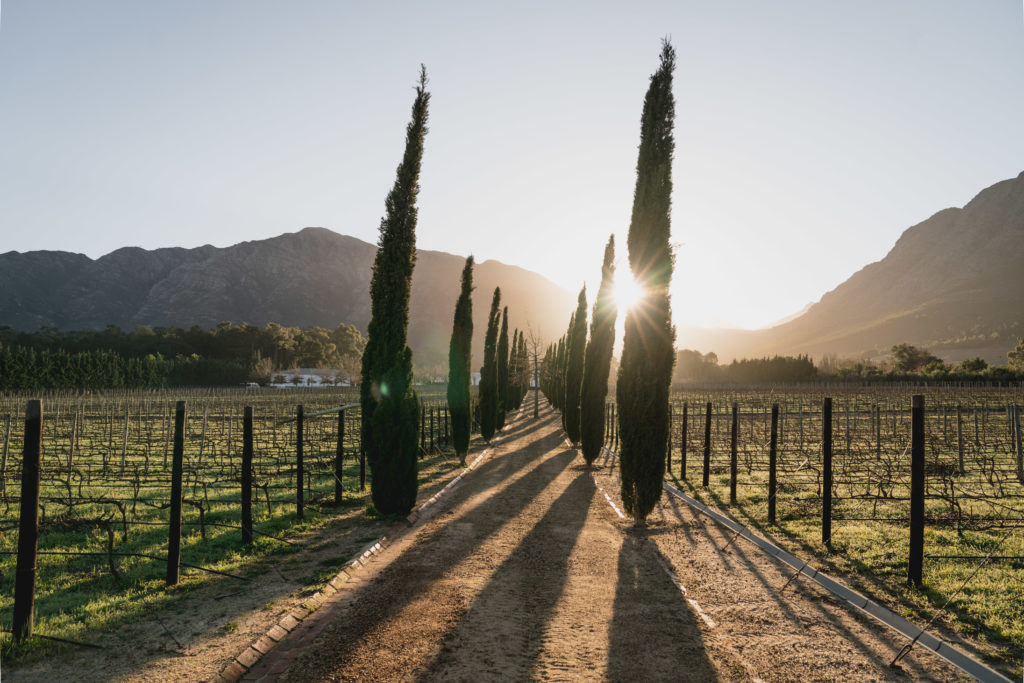 Le Lude Franschhoek | World of Wanderlust