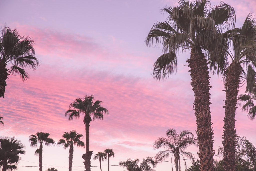 Palm Springs California | World of Wanderlust