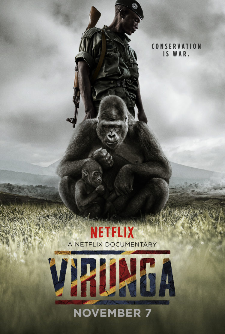 Los mejores documentales de naturaleza en Netflix - Todo de Viaje