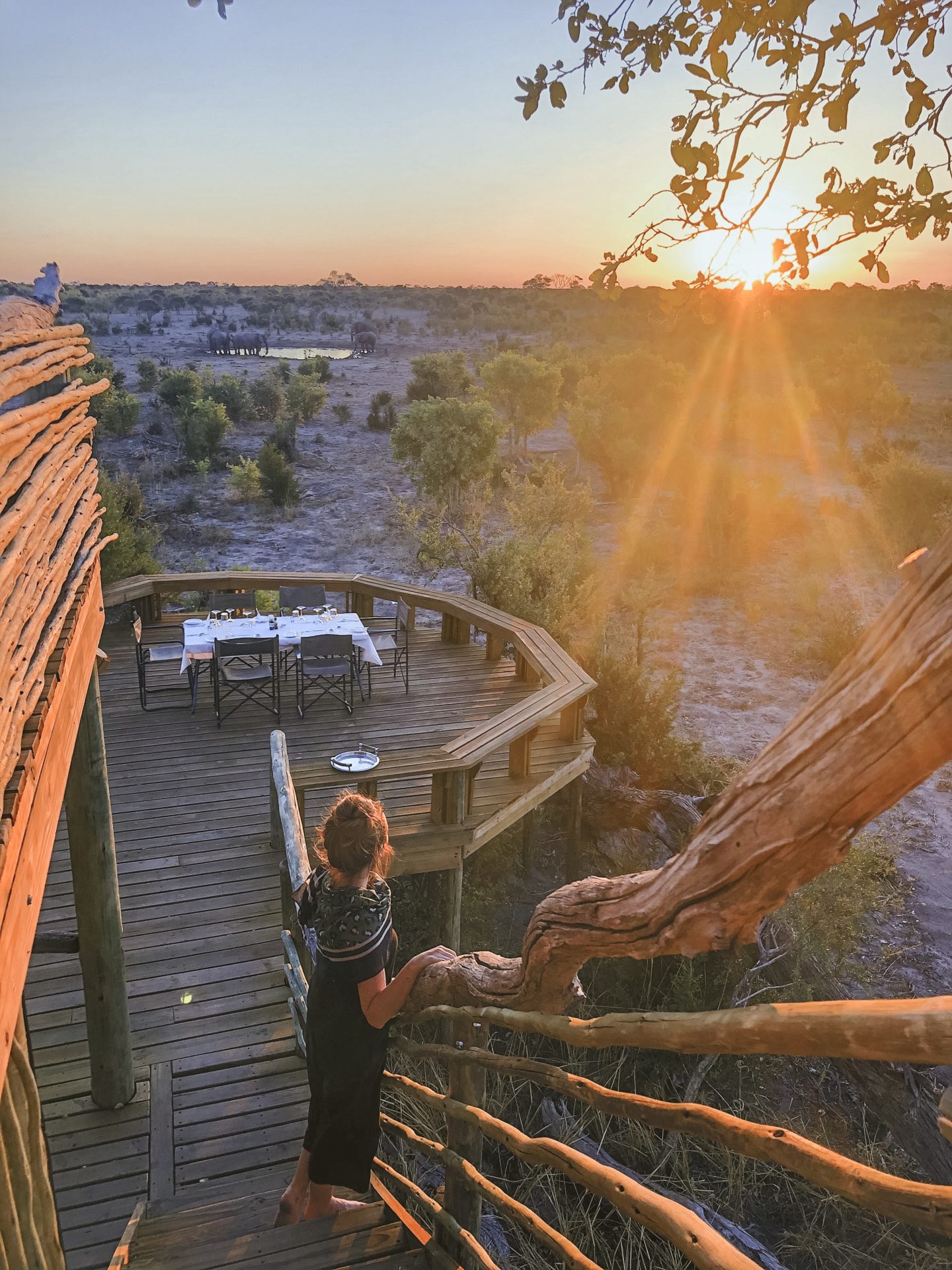 Übernachten Sie im Skybeds Botswana