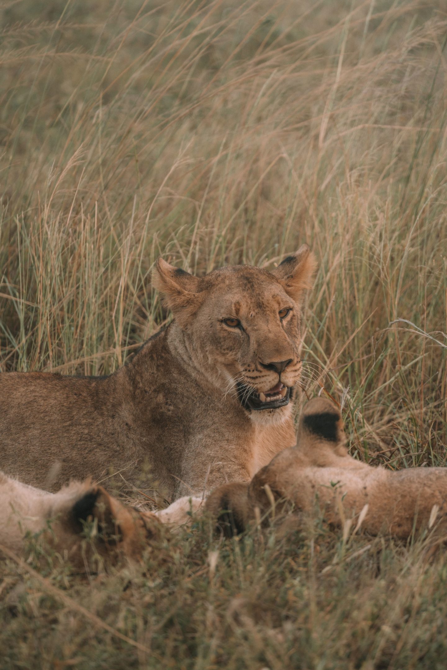 Rhino Conservation Trip | World of Wanderlust