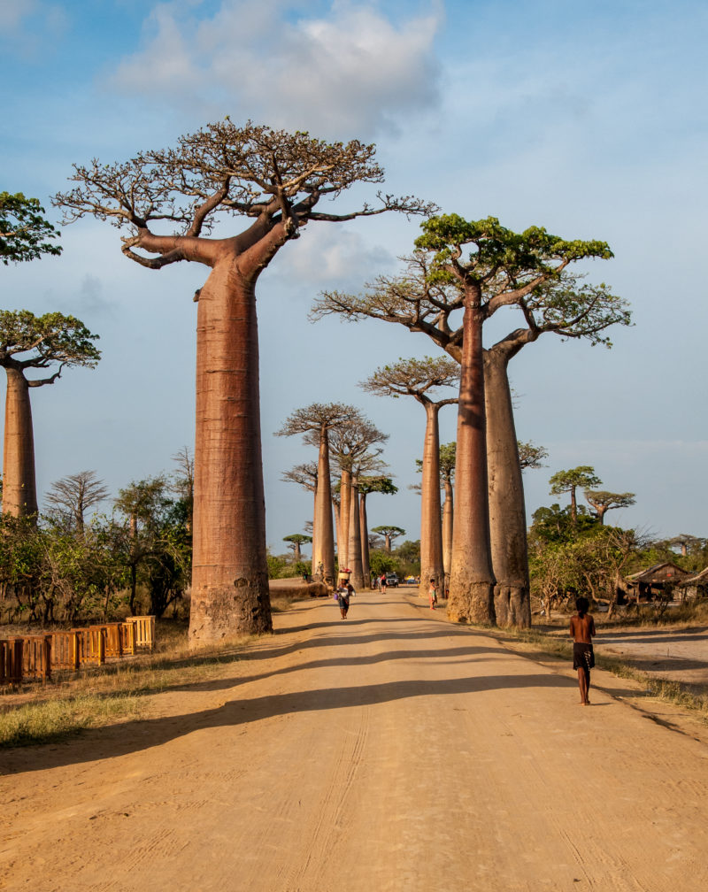 The Ultimate African Bucket List