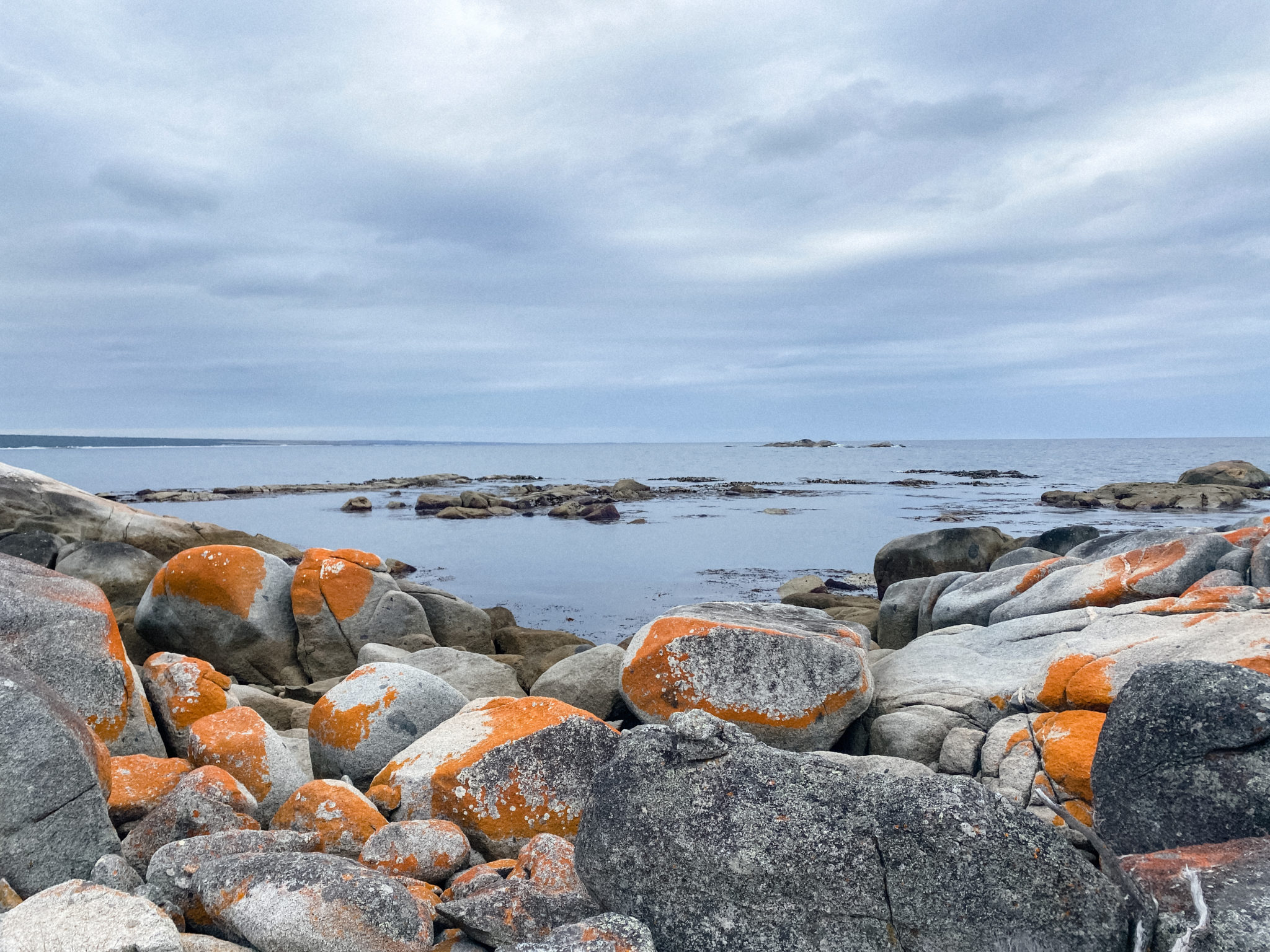 This Airbnb in Tasmania is the Perfect Isolated Escape - World of ...