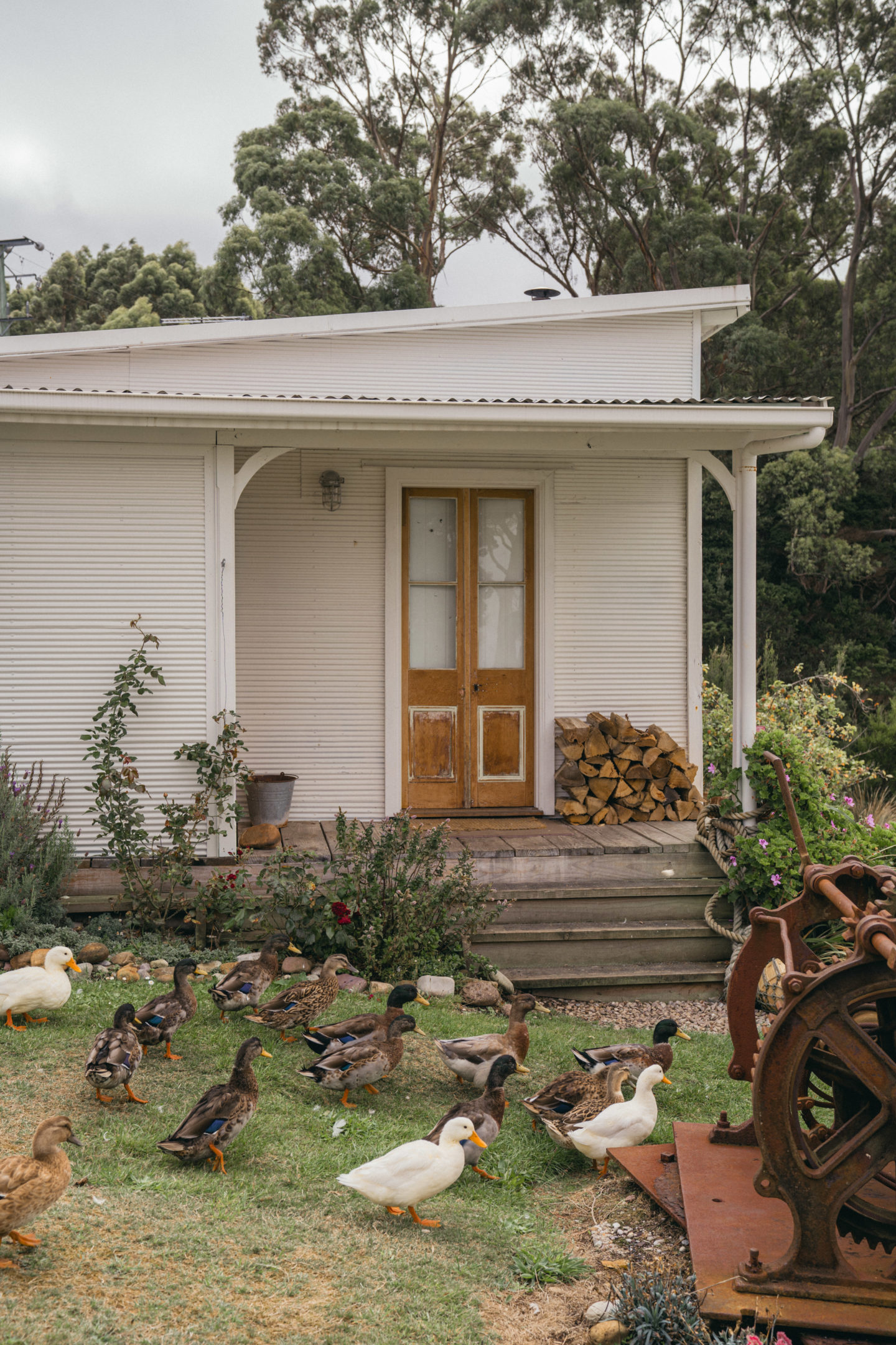 Captains-Rest-Tasmania-2