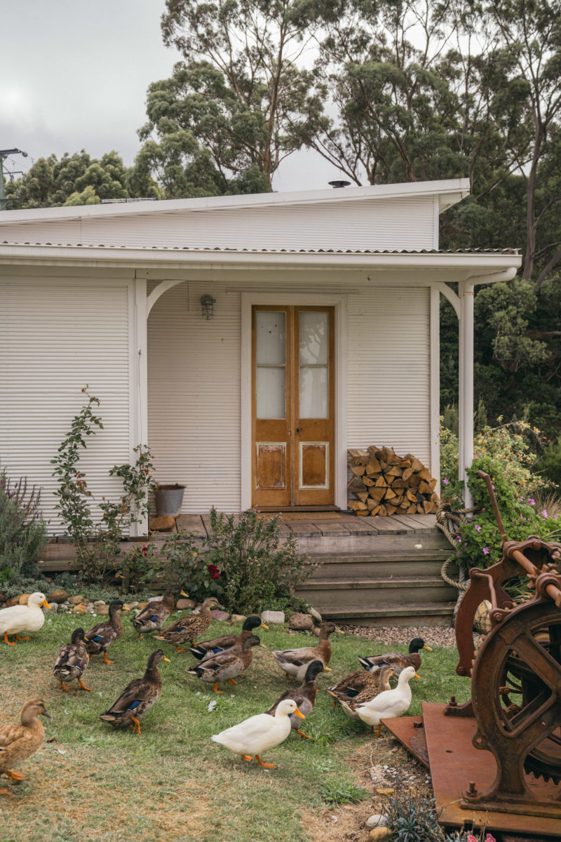 How Sarah Andrews created Australia's most famous AirBnB