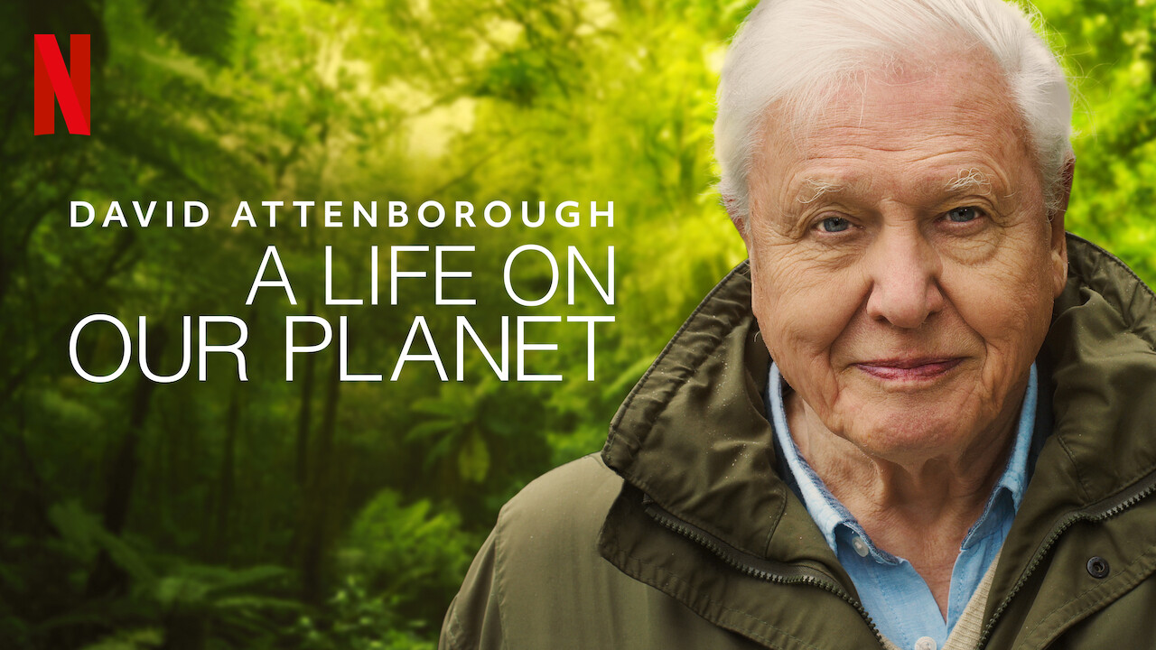 The Best Nature Documentaries On Netflix World Of Wanderlust The Best Nature Documentaries On Netflix World Of Wanderlust