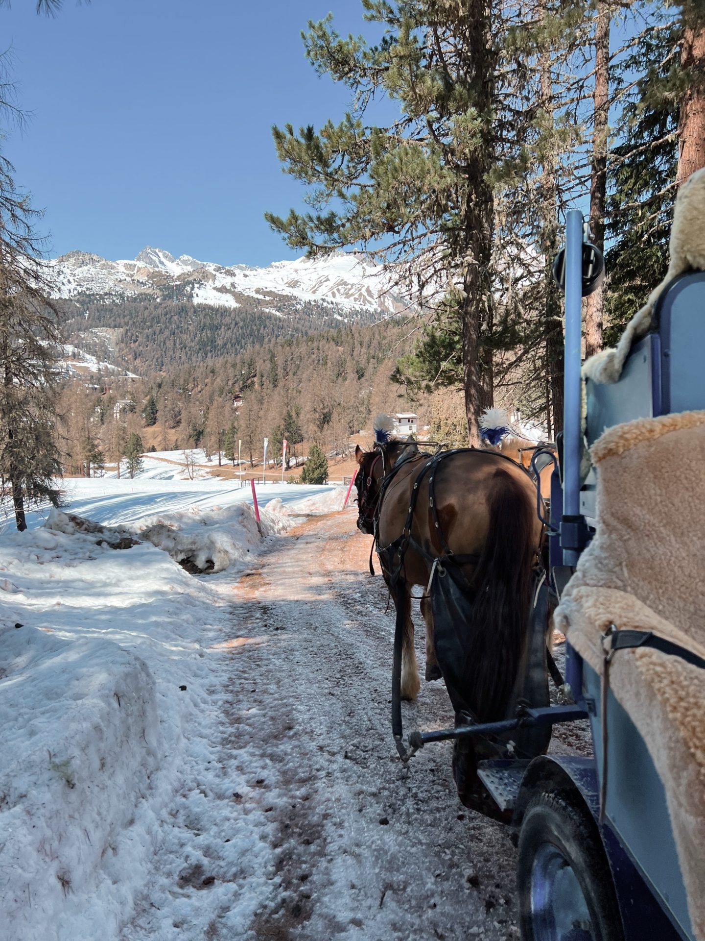 Carlton Hotel St Moritz |  Mundo do desejo de viajar