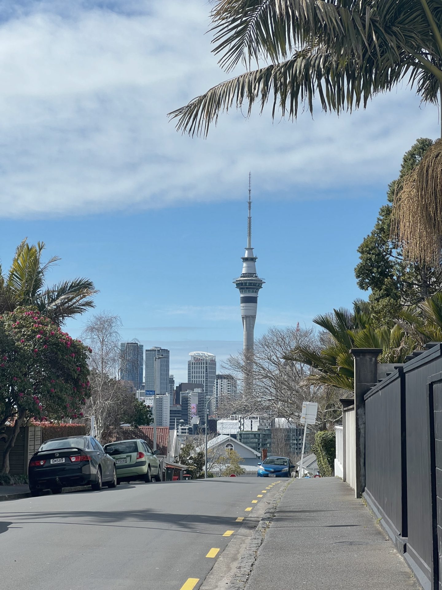 Guia da cidade de Auckland |  MUNDO DE WANDERLUST