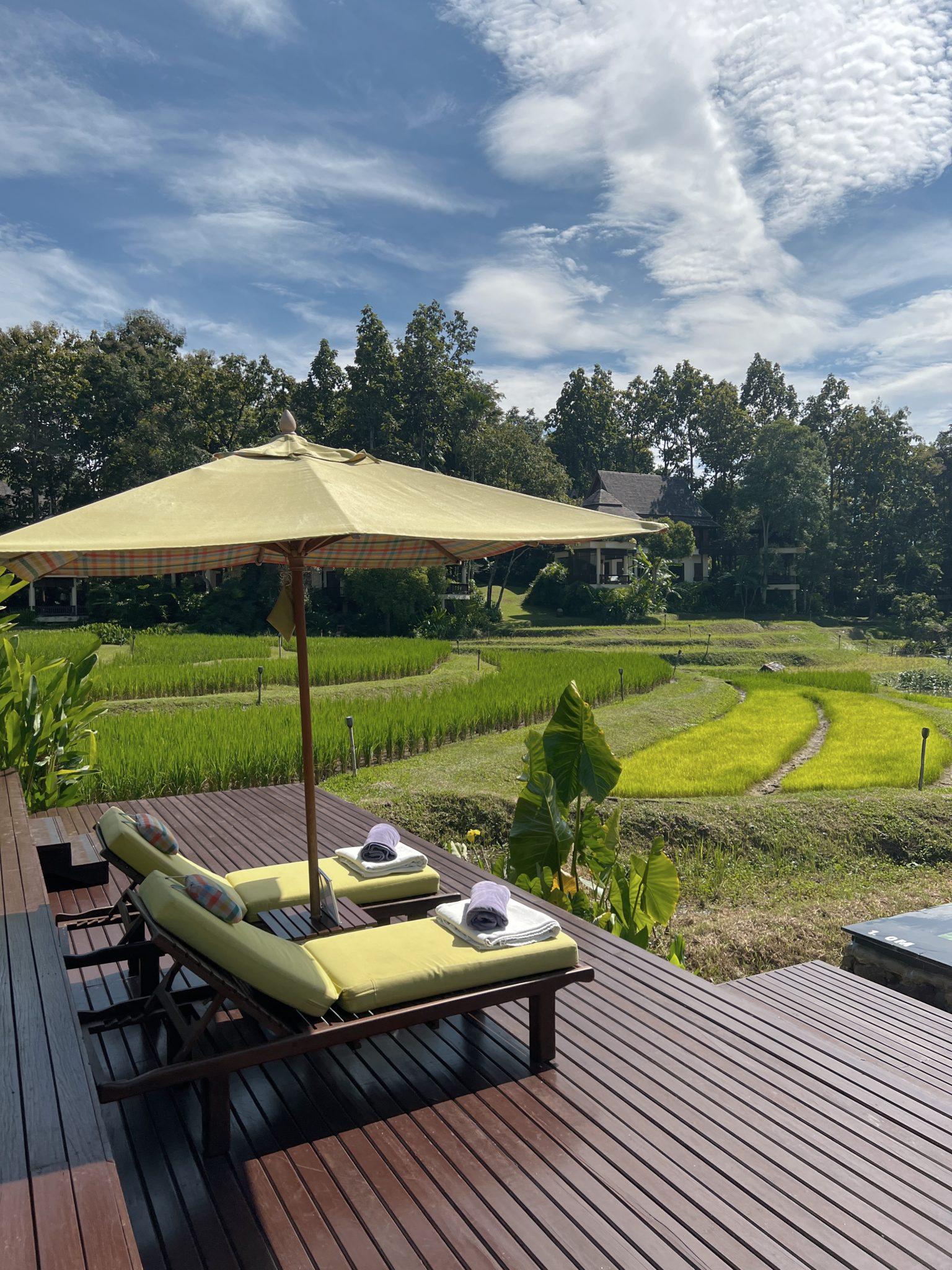 Escaping to the Four Seasons Chiang Mai